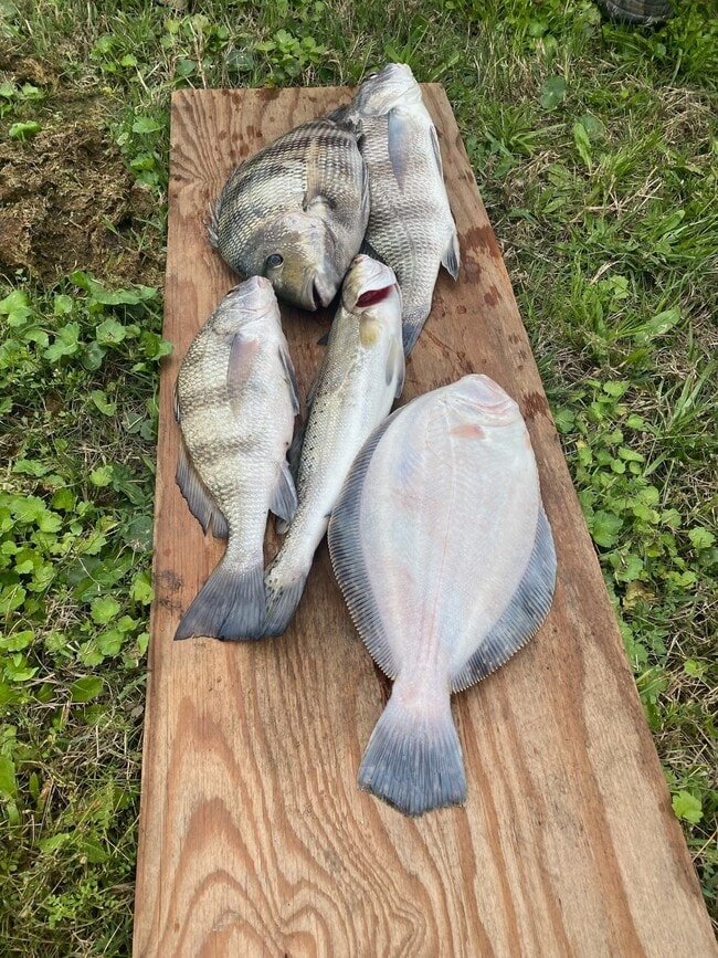 Building Photo - 3100 75th St