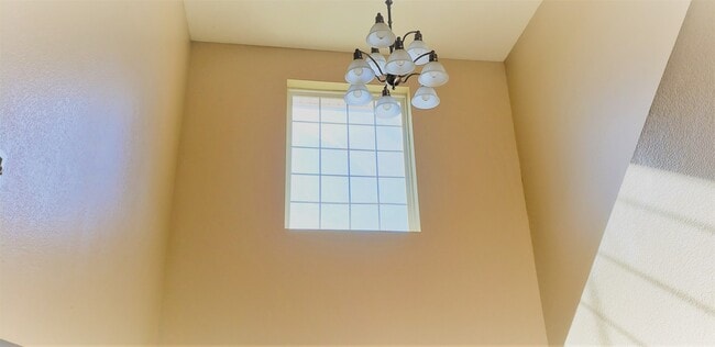 Building Photo - Quality Home Management