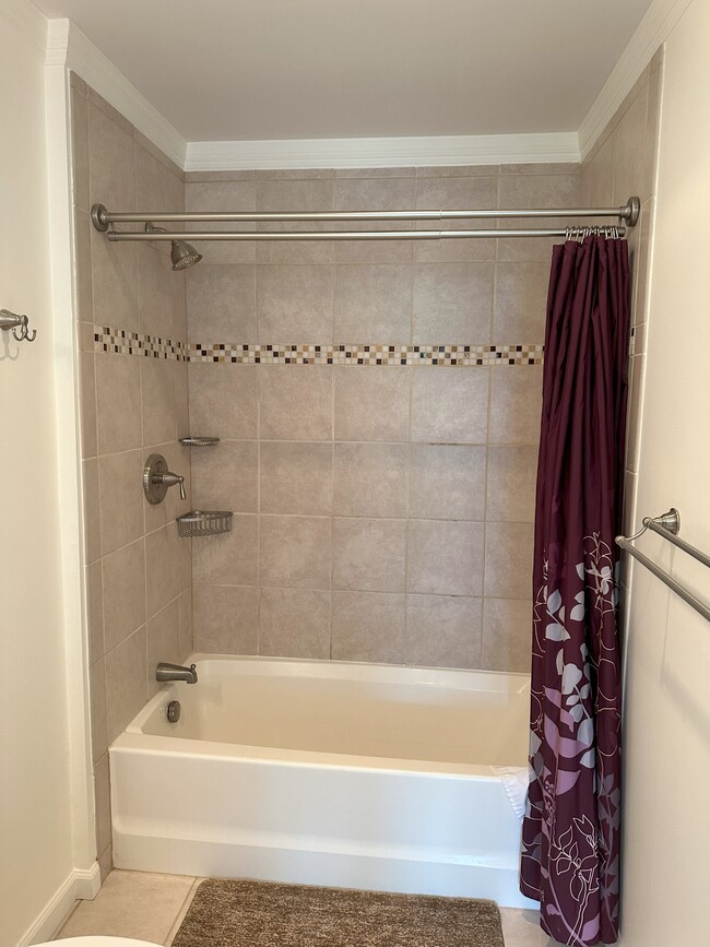 Upgraded 2nd Bathroom Soaker Tub / Shower - 354 Wimbeldon Ct