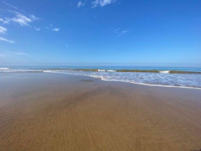 Building Photo - 133 Sea Urchin Ln