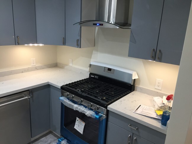 kitchen / stove / hood - 1533 Berkeley St
