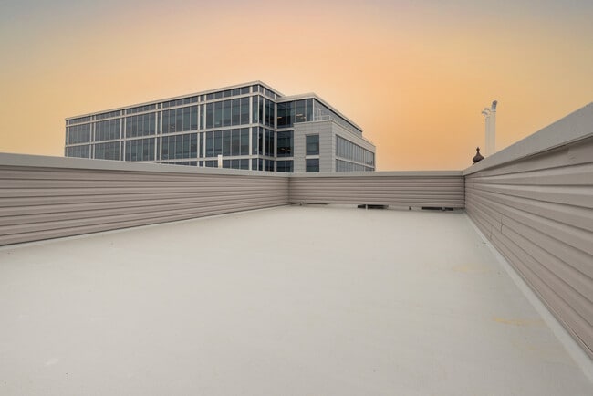 Shared rooftop. - 2034 Ridge Ave