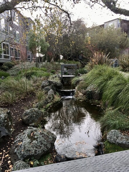 Lush greenery, landscaping, ponds and waterfalls - 15 Red Rock Way