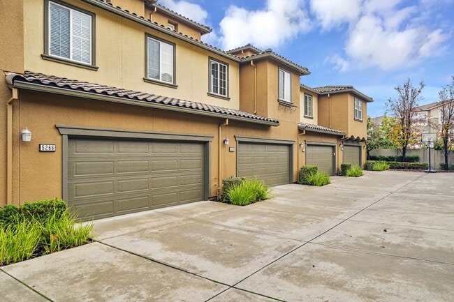 Building Photo - 5266 Fioli Loop