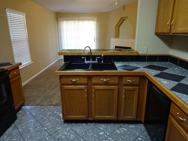 Building Photo - 1157 Windy Willows Dr