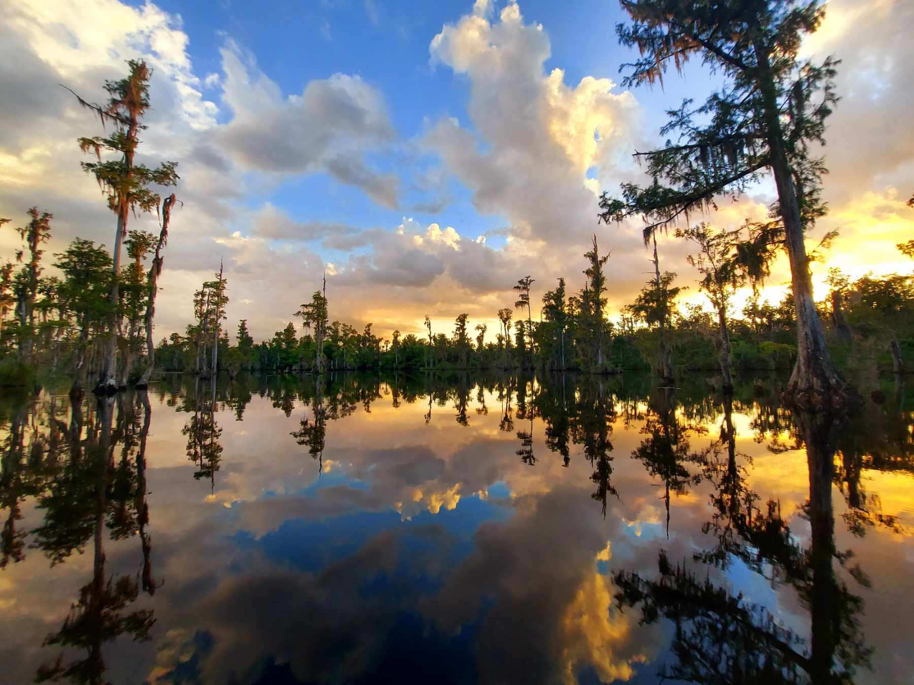 Building Photo - 3610 Conwick Dr