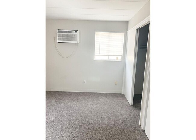 Interior Photo - Shiloh 331