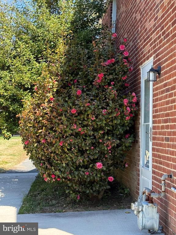 Building Photo - 331 Candlewood Rd