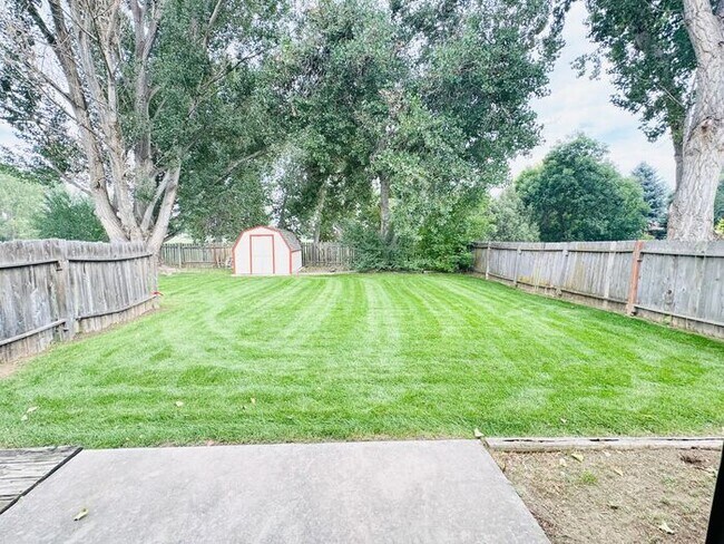 Building Photo - NEW Paint & Carpet! Cozy 2 Bedroom duplex ...