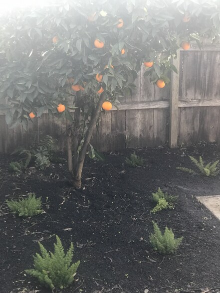 Building Photo - 1431 Columbia Ave