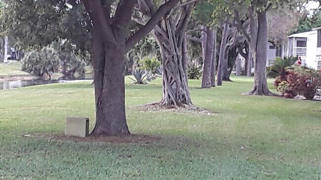 View from Porch - 75 Harwood H