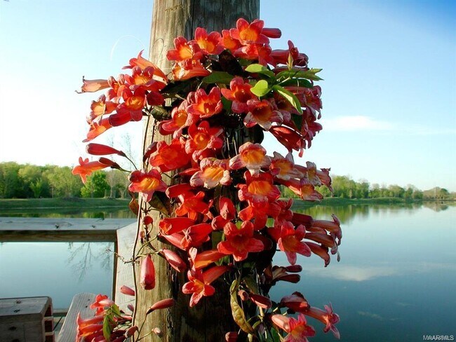 Building Photo - 3900 Turning Leaf Loop