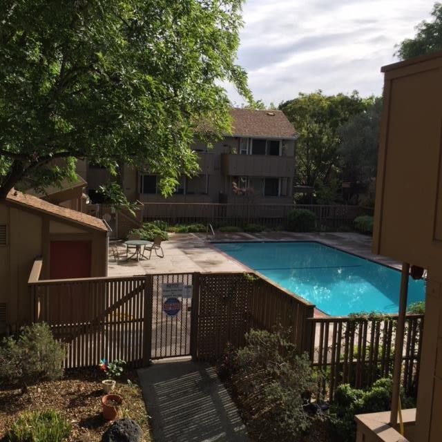 swimming pool - 2452 W Bayshore Rd