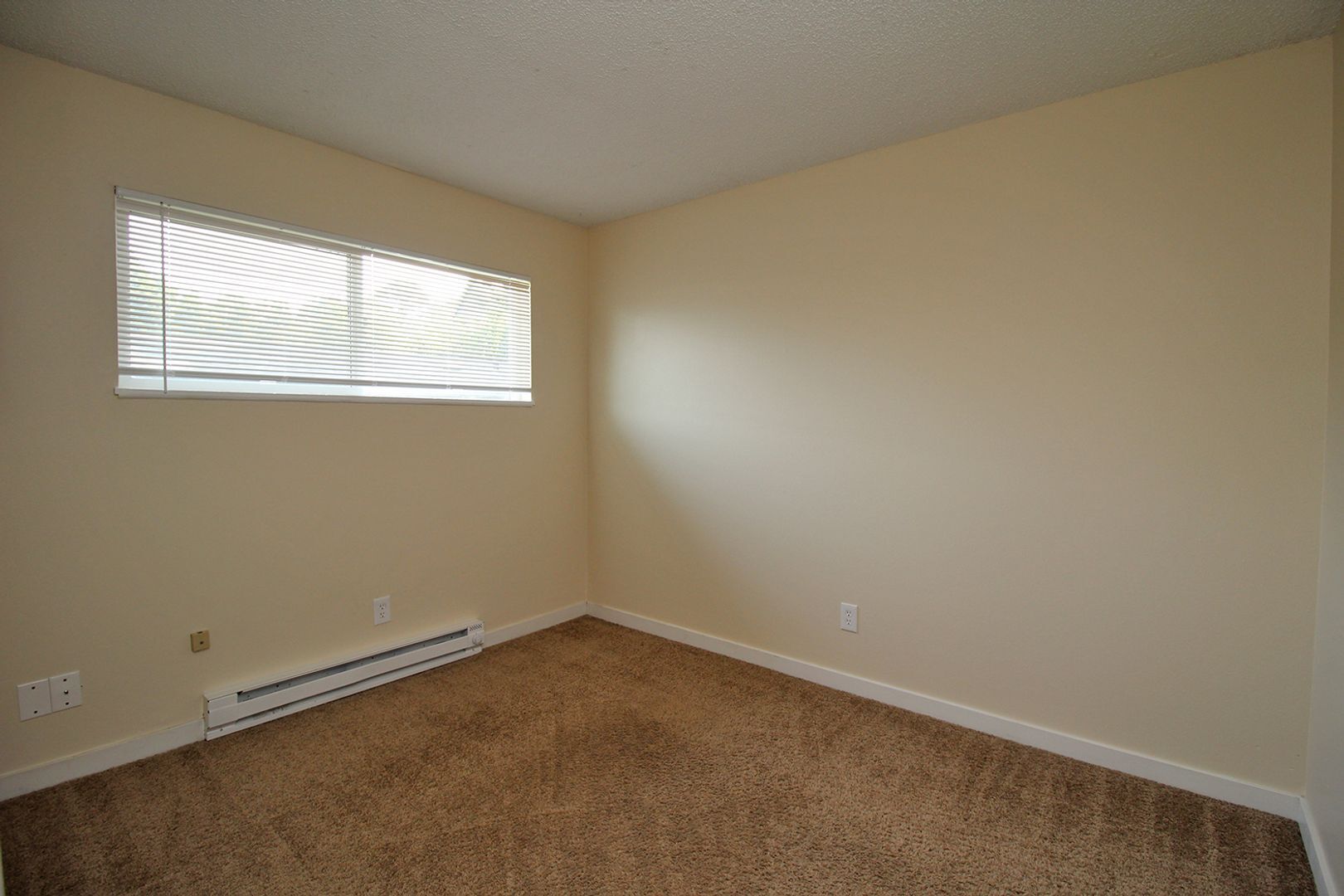 Building Photo - 706-706 N Watts St