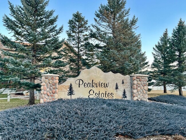 Building Photo - 622 Vermilion Peak Dr