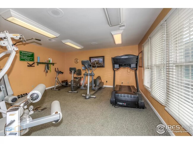 The Gym - 4670 White Rock Cir
