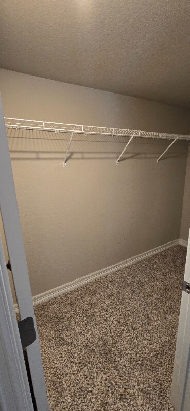 Building Photo - 6081 Anders Ridge Ln