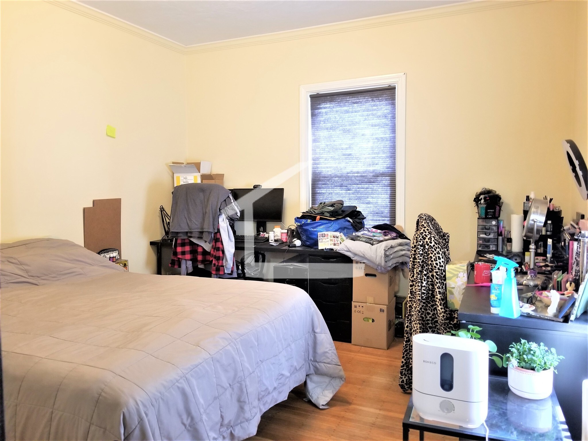 Building Photo - 68 Etna St