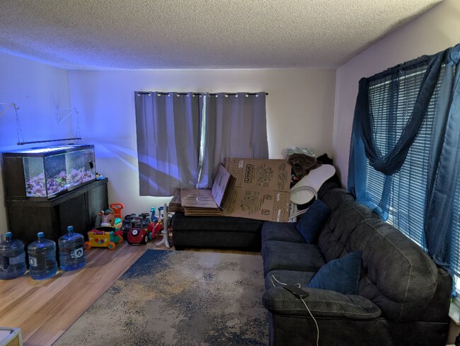 Building Photo - 5883 El Zuparko Dr