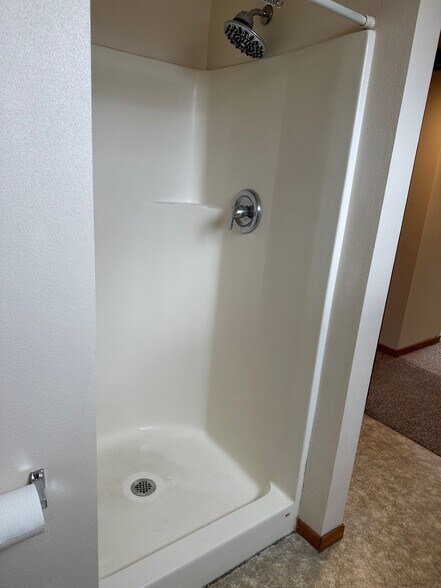 Bathroom - 924A W Blodgett St