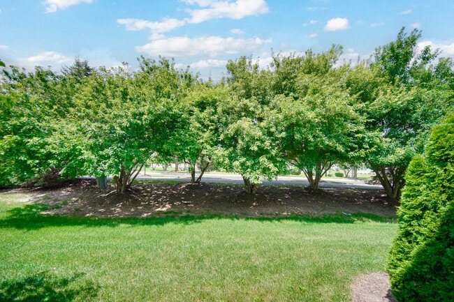 Building Photo - 1115 Goldfinch Ave
