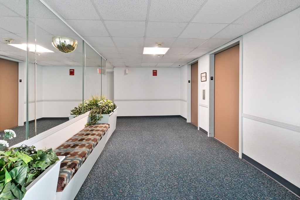 Building Photo - 377 Revere St
