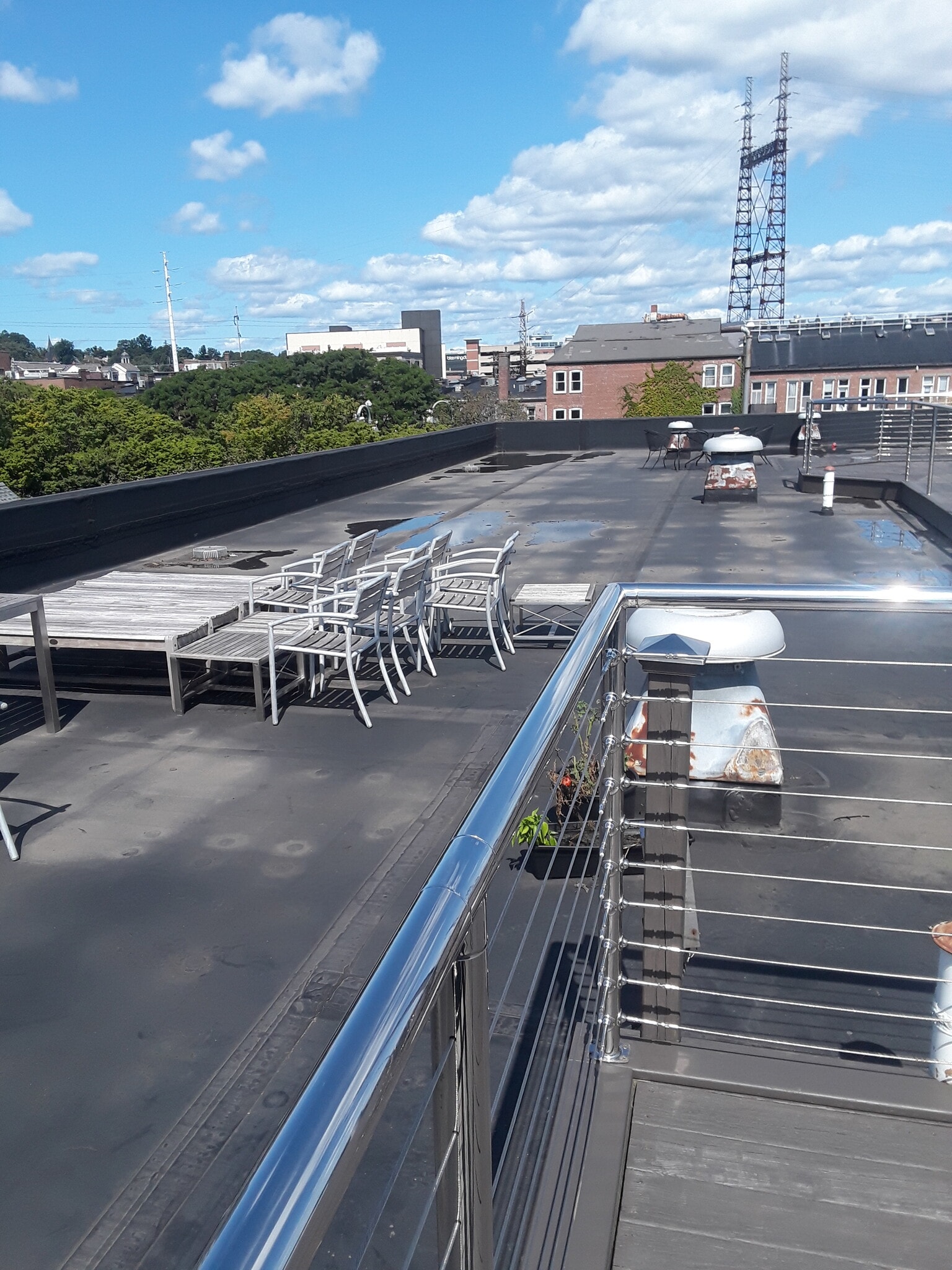 Rooftop - 32 Haviland St