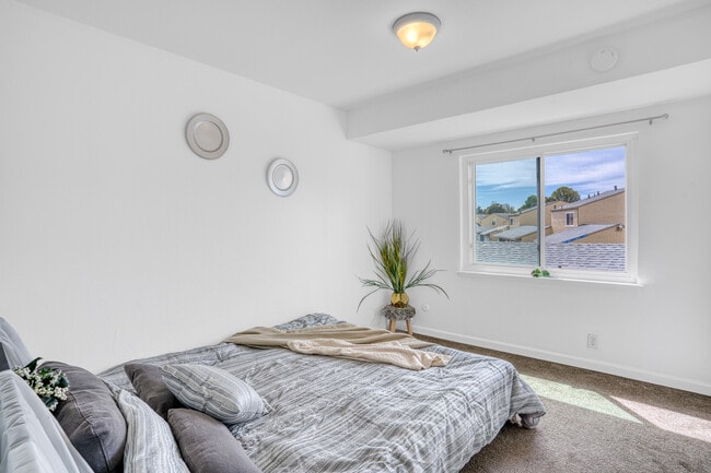 Building Photo - 4252 Comet Cir