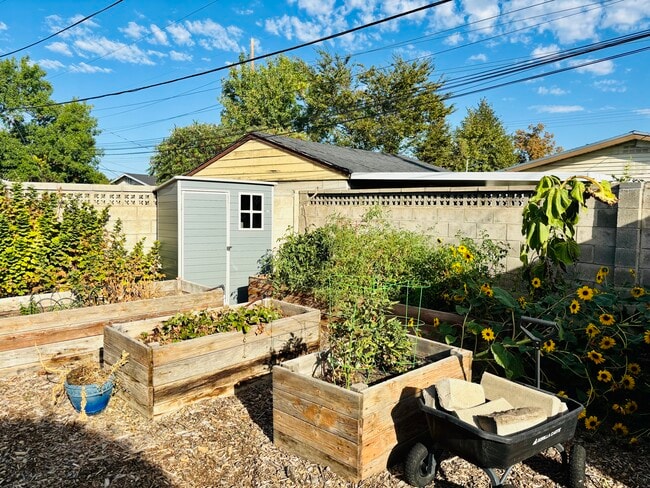 Building Photo - 1146 Taffeta Dr