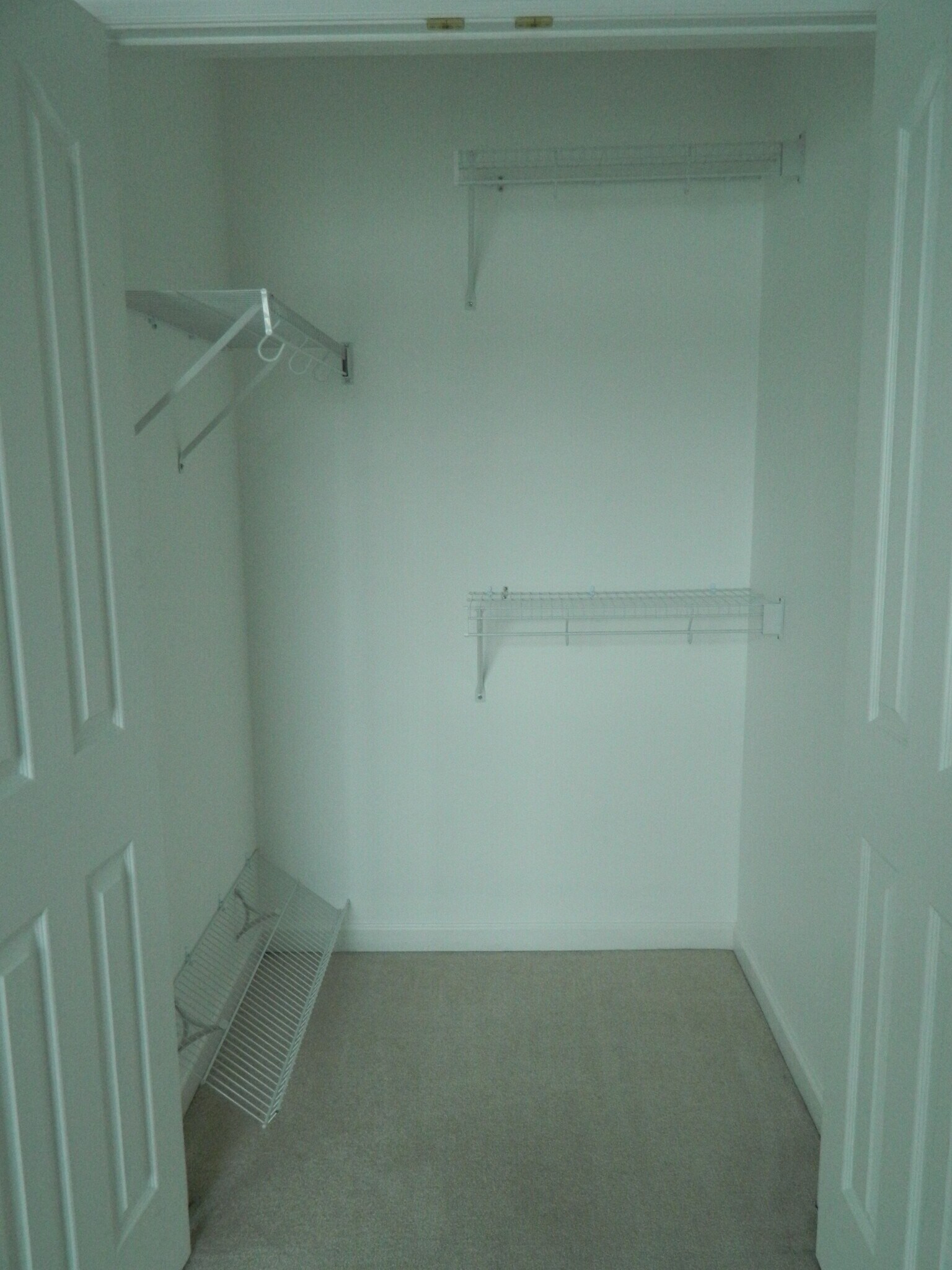 Bedroom walking closet - 248 Adams Pointe Blvd