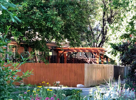 View of the fenced-in yard and pergola from the front - 2220 Irving St