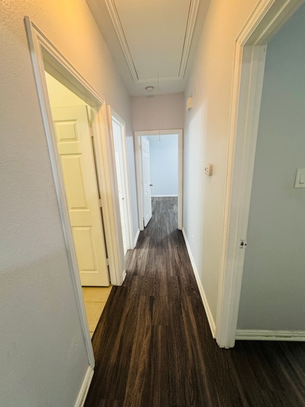 Building Photo - 5837 Swords Dr