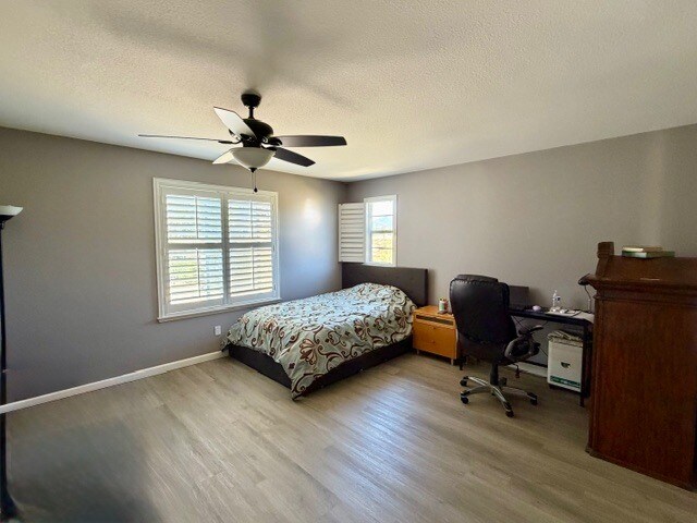 Building Photo - 2297 Treetop Ln
