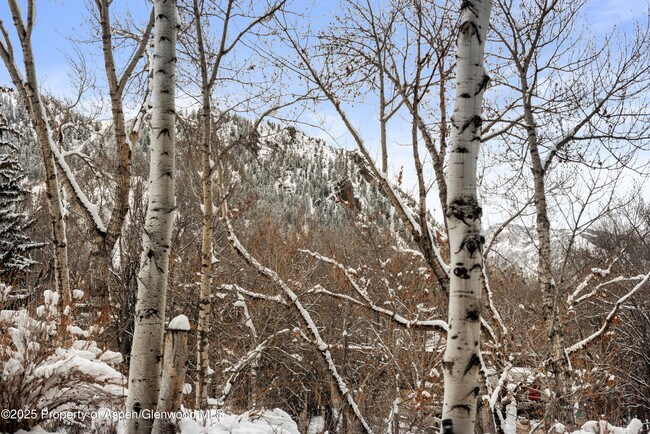 Building Photo - 155 Lone Pine Rd