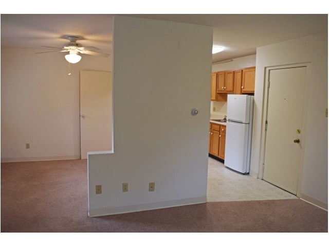 The Corningstone - 211 Springfield Apartments