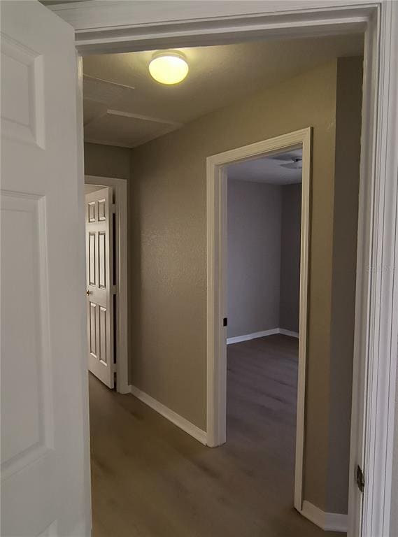 Building Photo - 320 Puffer Ct