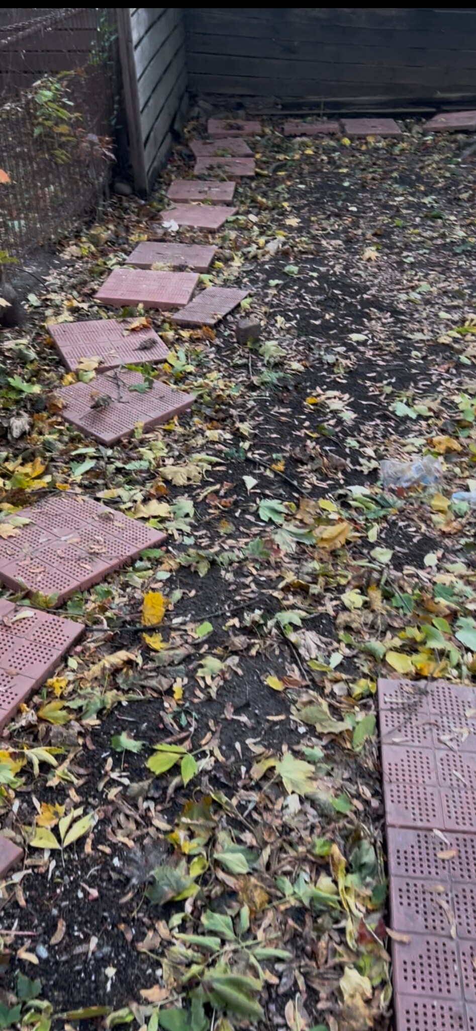 Building Photo - 520 Madison Ave