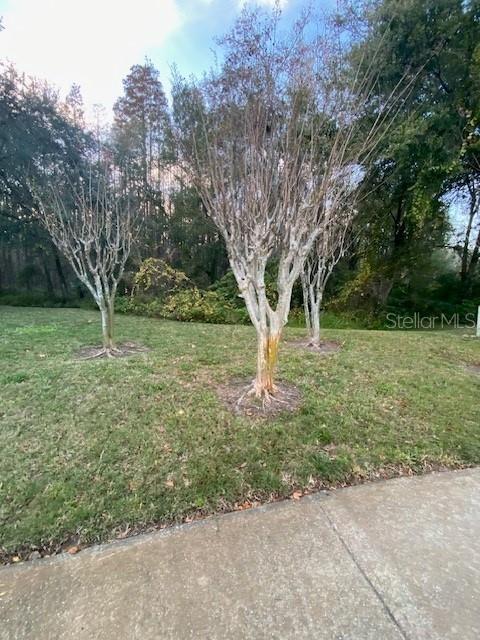 Building Photo - 5504 Carrollwood Key Dr