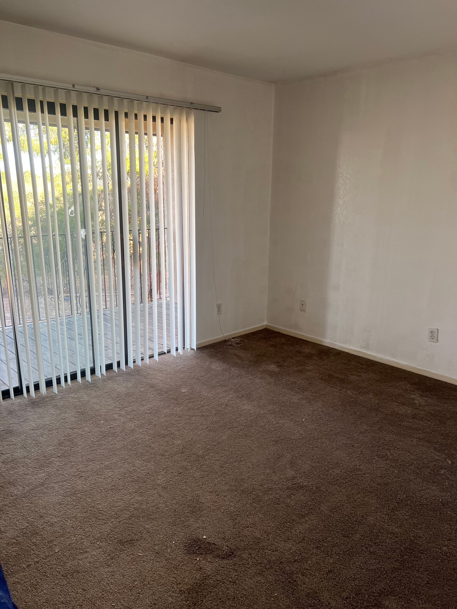 Building Photo - 793 W Mesa Verde Dr