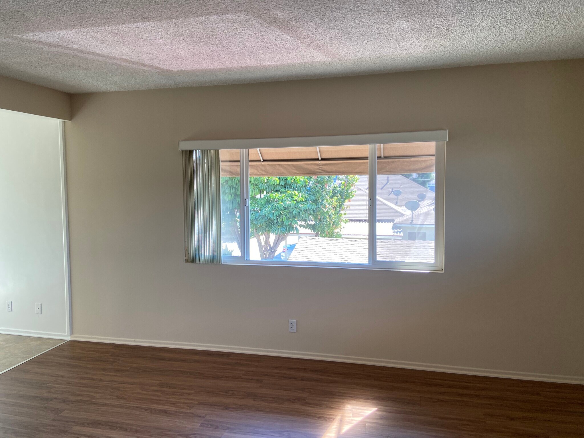 Living room - 322 Cornell Dr