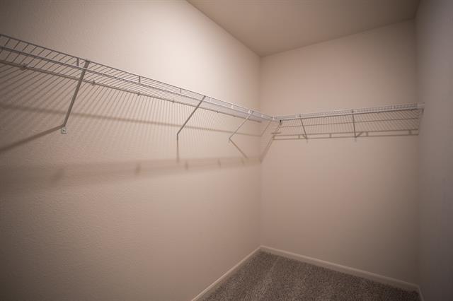 Building Photo - 13808 Musselshell Dr
