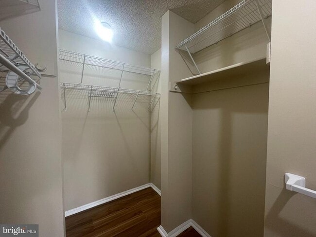 Building Photo - 81 Willow Ct