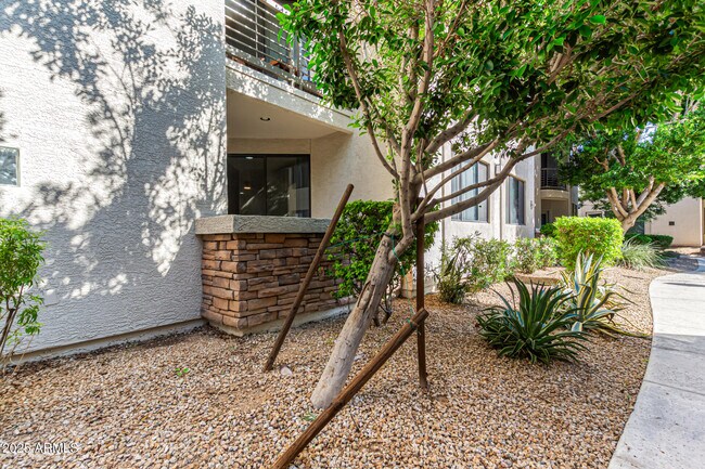 Building Photo - 6900 E Princess Dr