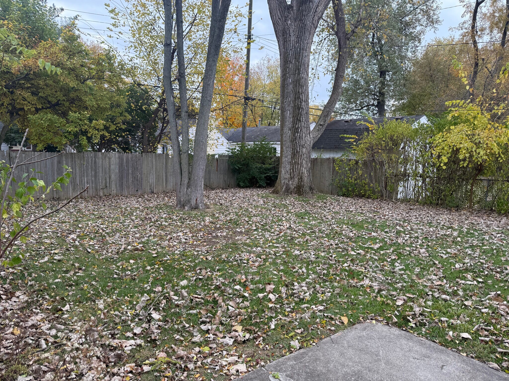 Large Fenced in backyard - 23072 Lilac St