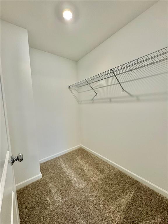 Building Photo - 3012 Orwell Dr SE