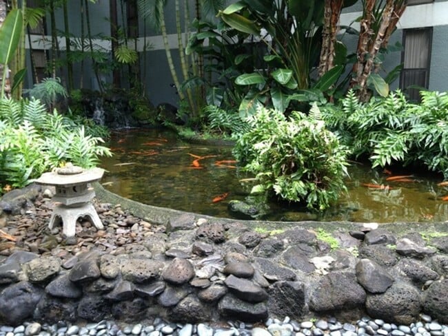 Building Photo - Windward Cove in Kailua