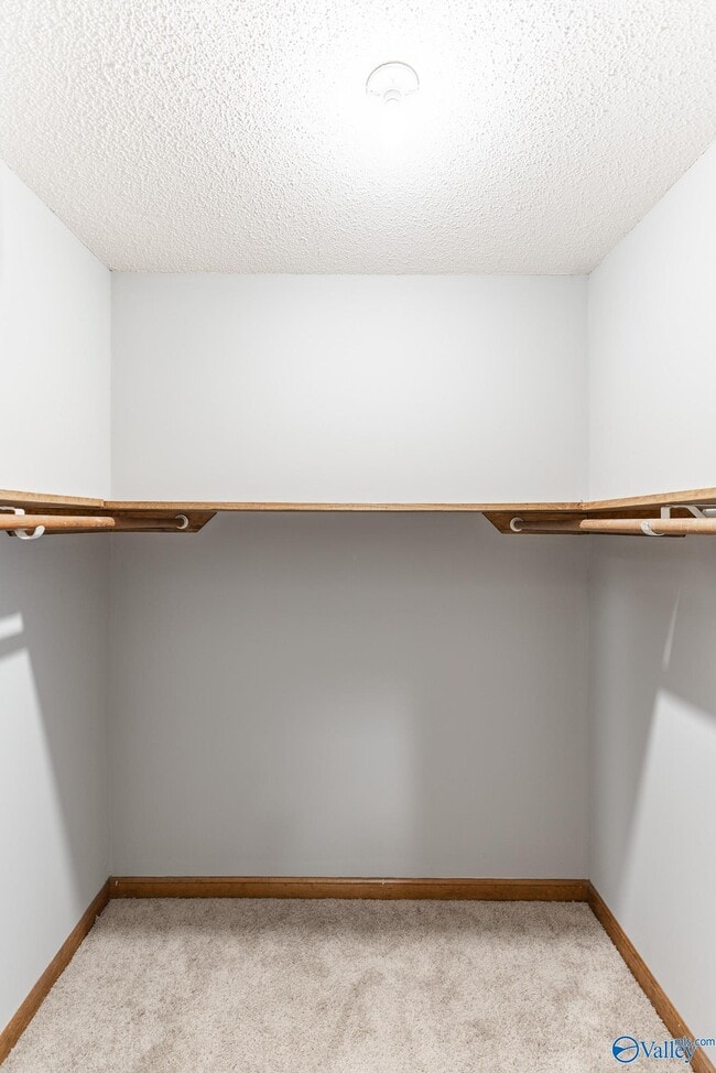 Building Photo - 109 Perriwinkle St