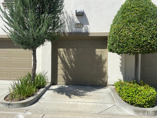 Building Photo - Newer Multi-Level Downtown Townhouse with ...