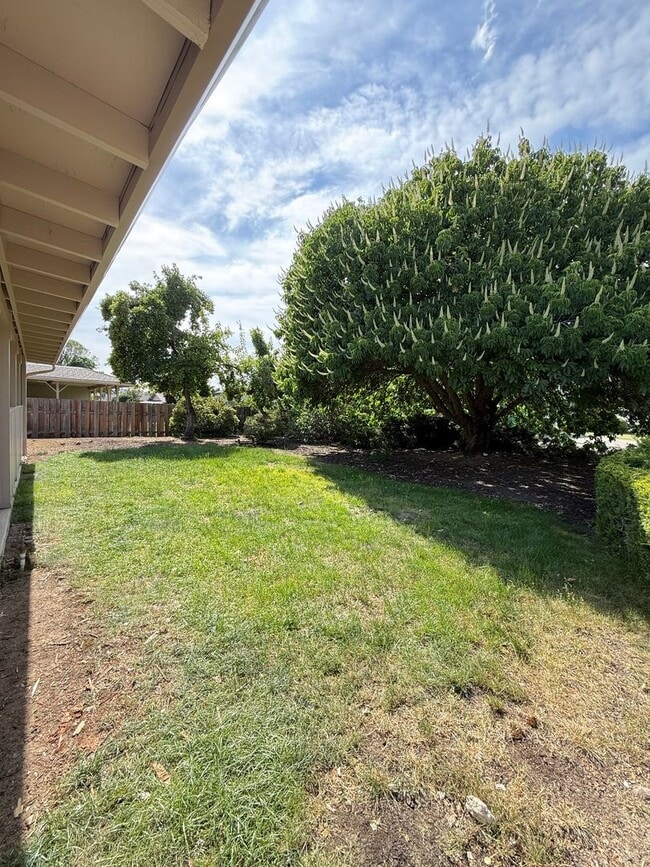 Building Photo - Charming 3 bed 2 bath home in SE Medford!