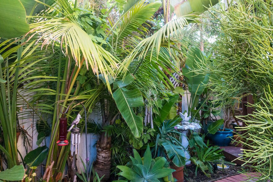 Building Photo - 21 Woodswallow Ln